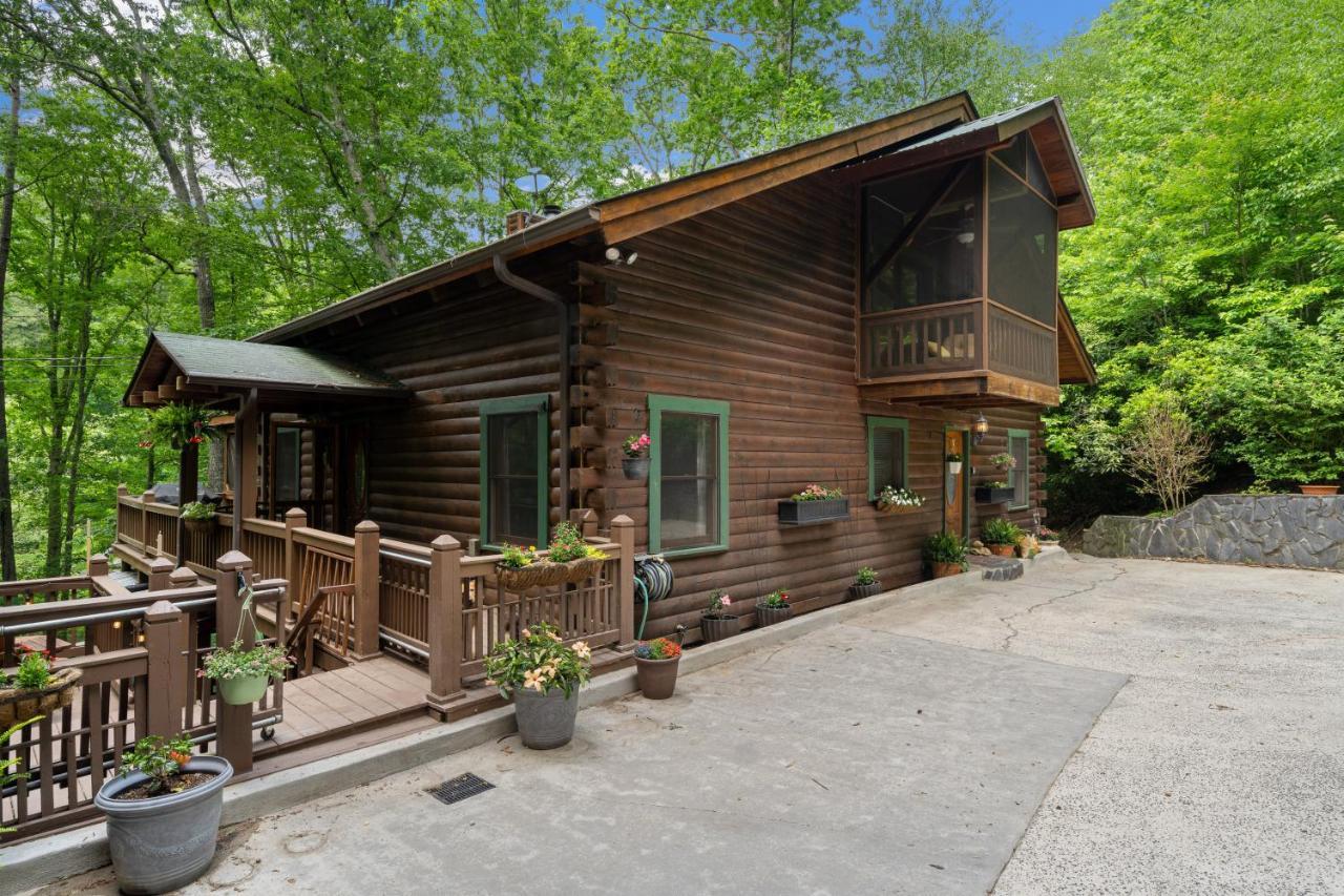 Nana'S Nest Villa Блу Ридж Екстериор снимка